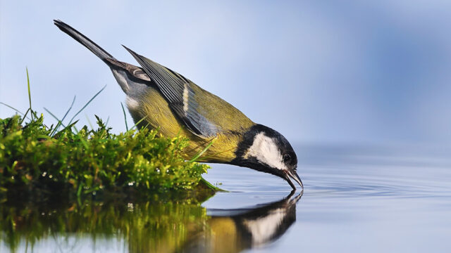 Misli o vodi in našem odnosu do te dobrine; Foto: Shutterstock