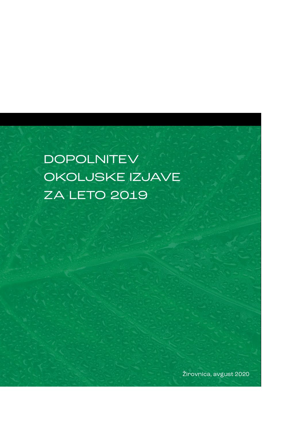 Dopolnitev okoljske izjave Medium 2019 pdf