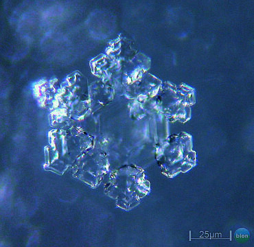 Kristali vode Zdravilišča Laško so stabilni, lepo oblikovani in pravilnih oblik kar je značilno za izražanje pozitivne informacije. Raziskave, opravljene na Inštitutu Bion, so pokazale, da ima laška termalna voda zelo kvalitetno biopolje in s tem nedvomno pozitivno vpliva na biopolje organizmov, kar je pomembno pri regeneraciji in zdravljenju.