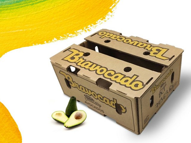 Embalaža za avokado iz kartona