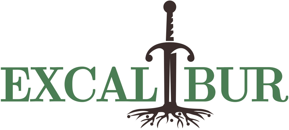 Kmetijski institut Slovenije Excalibur Official Logo 1