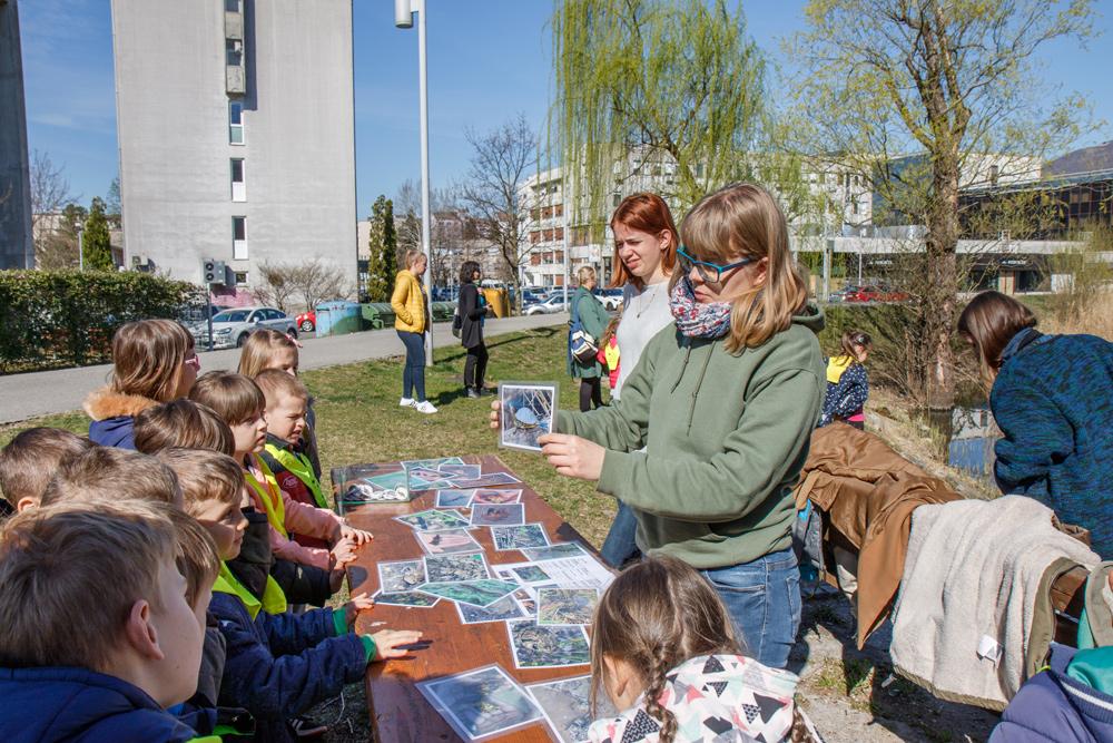 Mestna obcina Nova Gorica foto Mateja Pelikan 4488