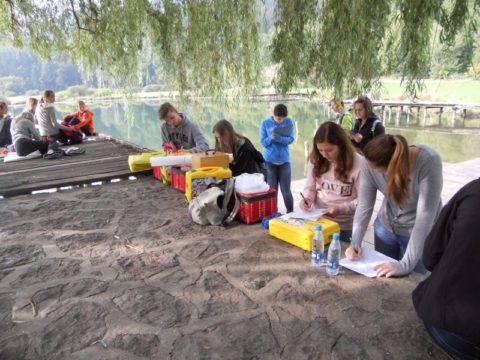 SS za gradbenistvo in varovanje okolja analiza vodnega okolja