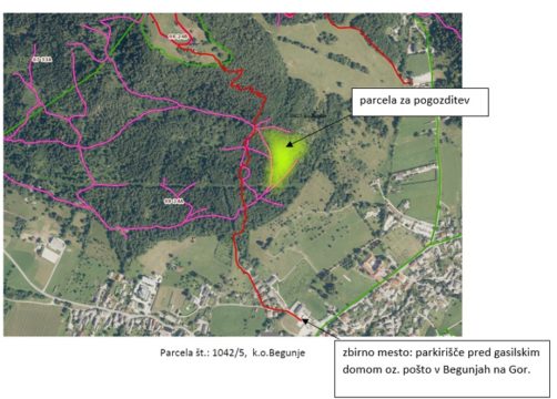 Sajenje dreves bo potekalo v cetrtek 7. aprila zbor bo ob 8.30 pred gasilskim domom v Begunjah na Gorenjskem 1