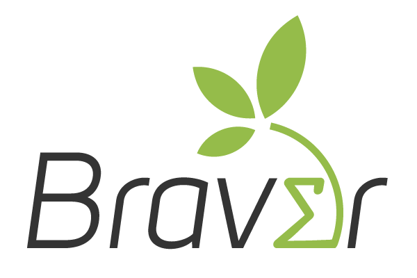 logo-braver 121