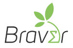 logo braver