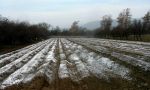 Cinkarna-Celje--uporaba-bele-sadre- Calcin-S_-v-poljedelstvu