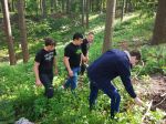 Slika 1: Na terenskih vajah študentje zbirajo herbarijski material drevesnih in najpogostejših grmovnih in zeliščnih vrst.