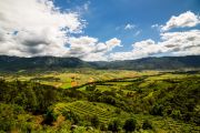 planina landscape