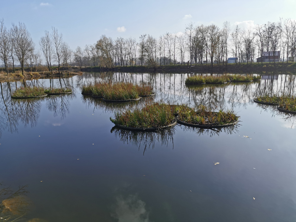 Plavajoči otoki za obnovo vodnih teles