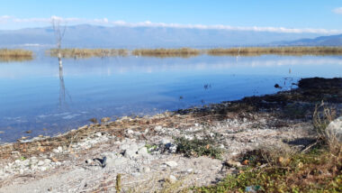 Revitalizacija jezera Dojran v Severni Makedoniji