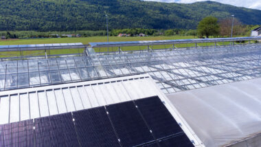 Vrtni center Požar v Kočevju, foto: Miran Kambič, arhiv Petrol