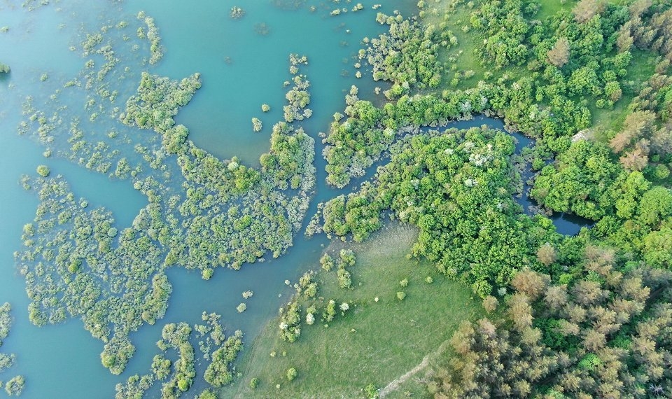 Ekološka povezljivost je koncept, ki upošteva tudi dinamiko krajine - presihajoče jezero. (Foto: www.bf.uni-lj.si)