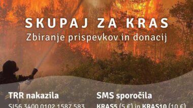 Skupaj za Kras