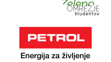 Petrol IG e1660815242371