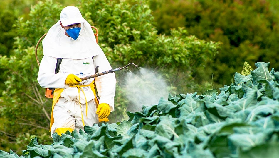 Pesticidi foto