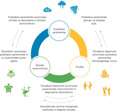 Na ekosistemih temelječe prilagajanje. Prirejeno po WWF, 2019.