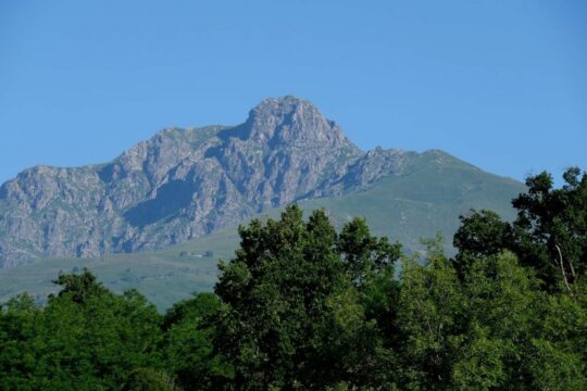 Alpska konferenca