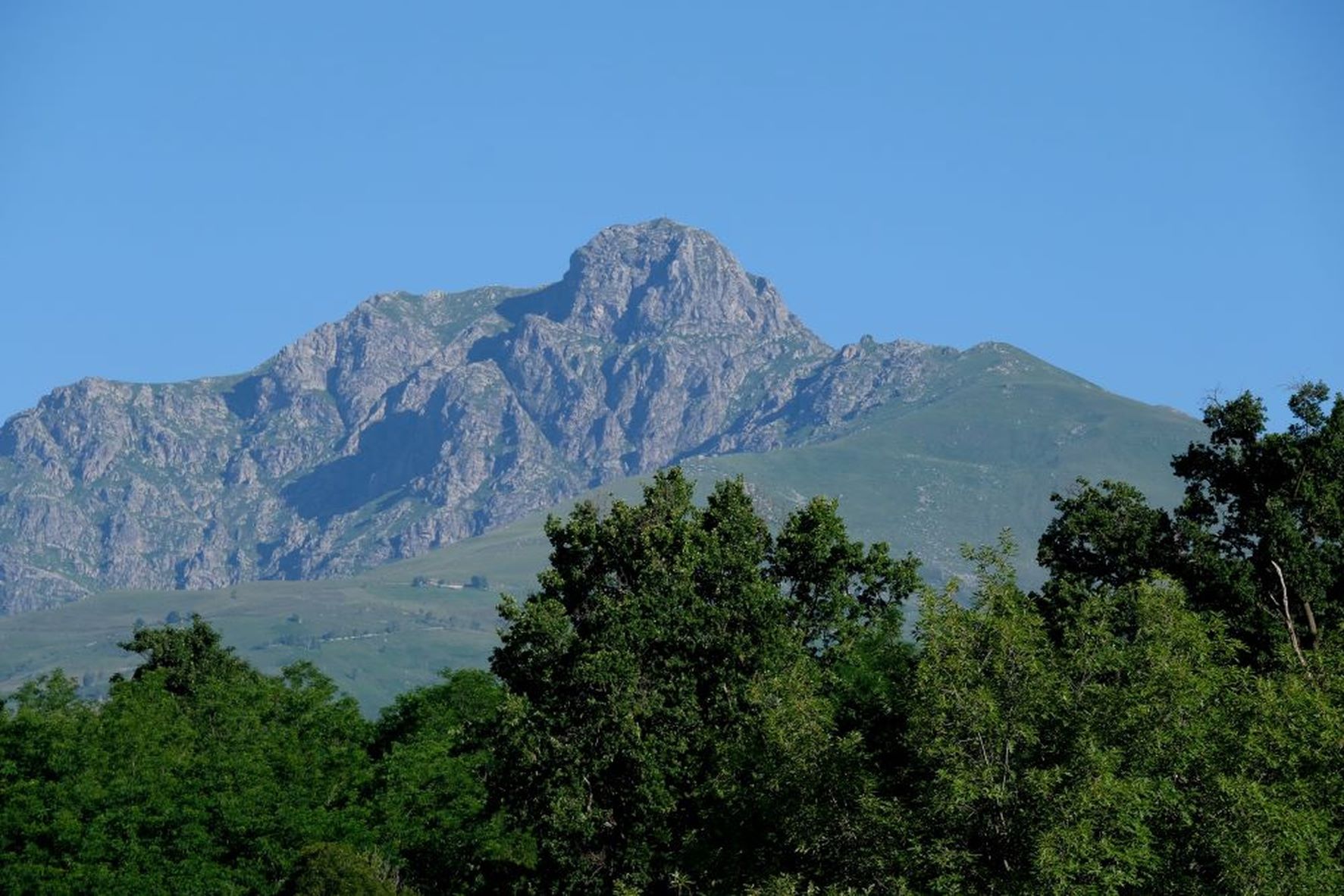 Alpska konferenca