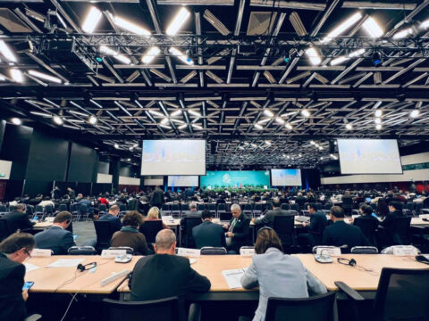 konferenca