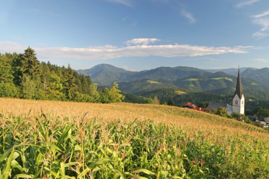 Kmetijstvo