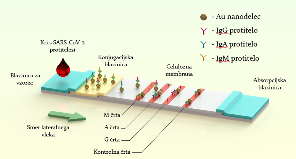 PCR