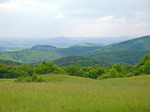Foto narava