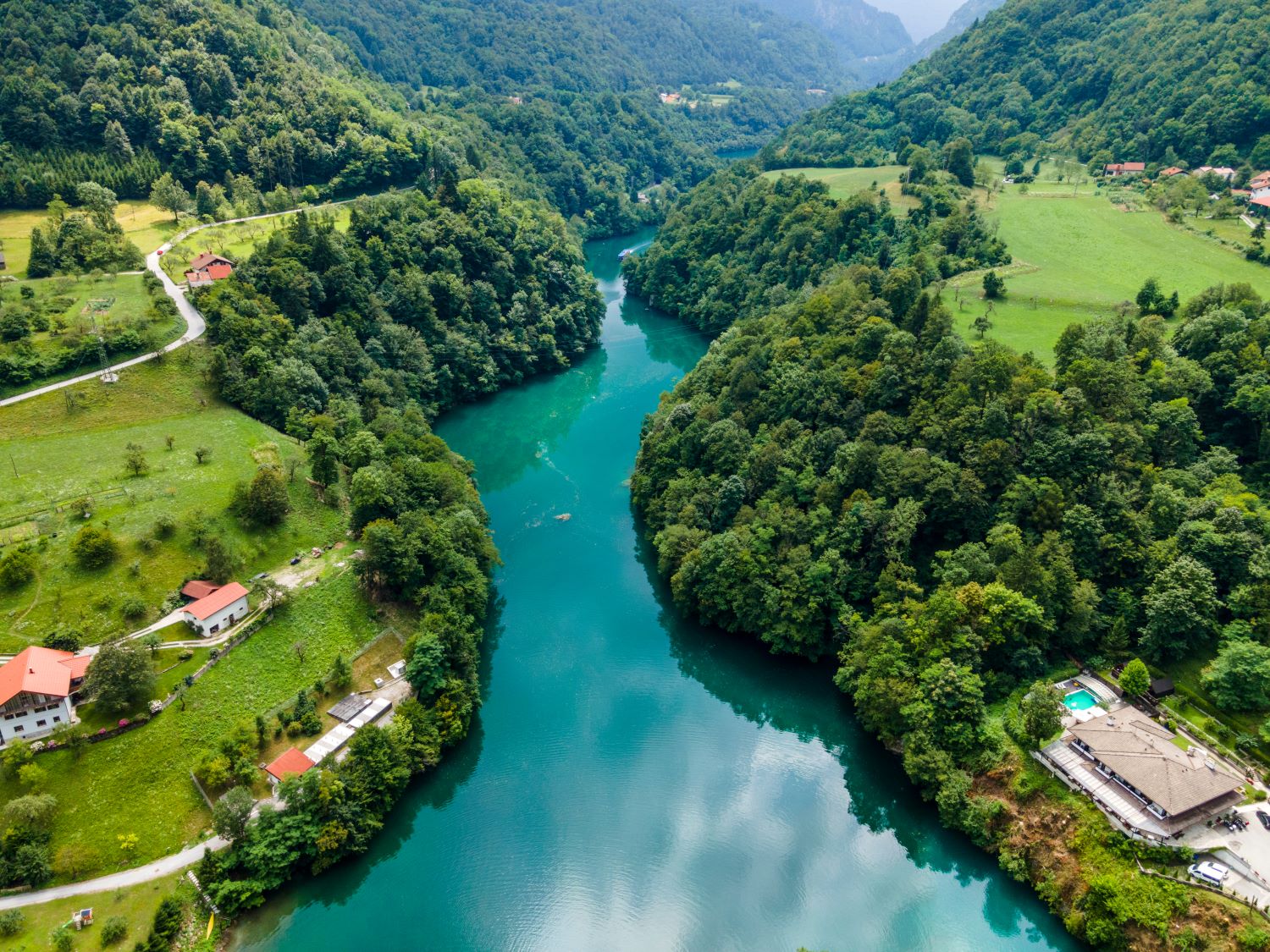 Foto ekosistem