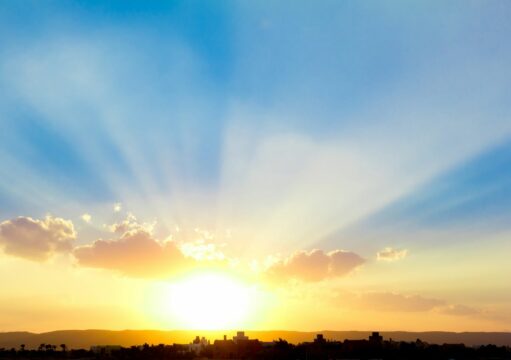 Sonce