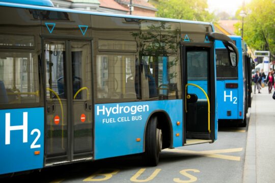 avtobusi