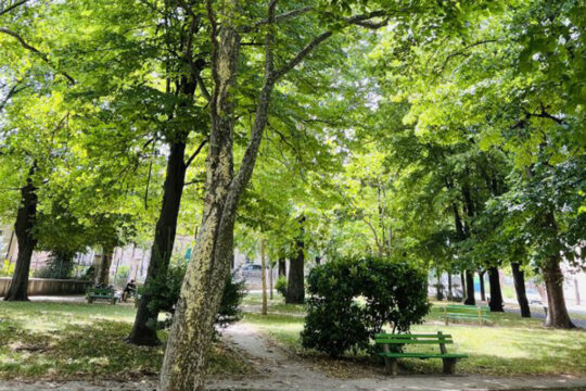Ozelenitev javnih površin v Ajdovščini in njeni okolici, ki mestu in podeželju prinaša prenovo obstoječih in urejanje novih zelenih površin, foto: Občina Ajdovščina