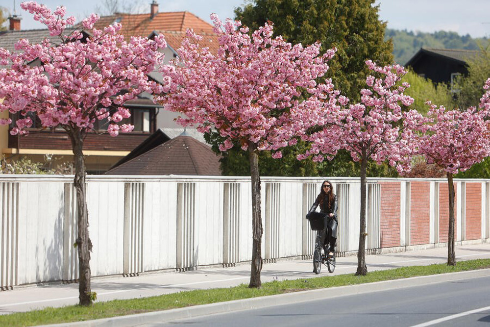 Mestna obcina Ljubljana ESG 182