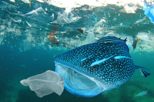 Nova pravila bodo preprečila izpust približno pol milijona ton mikroplastike v okolje. (Foto: shutterstock)