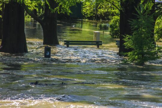 Poplave 1