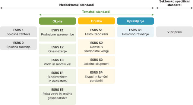 ESRS standardi