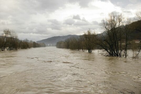 poplave