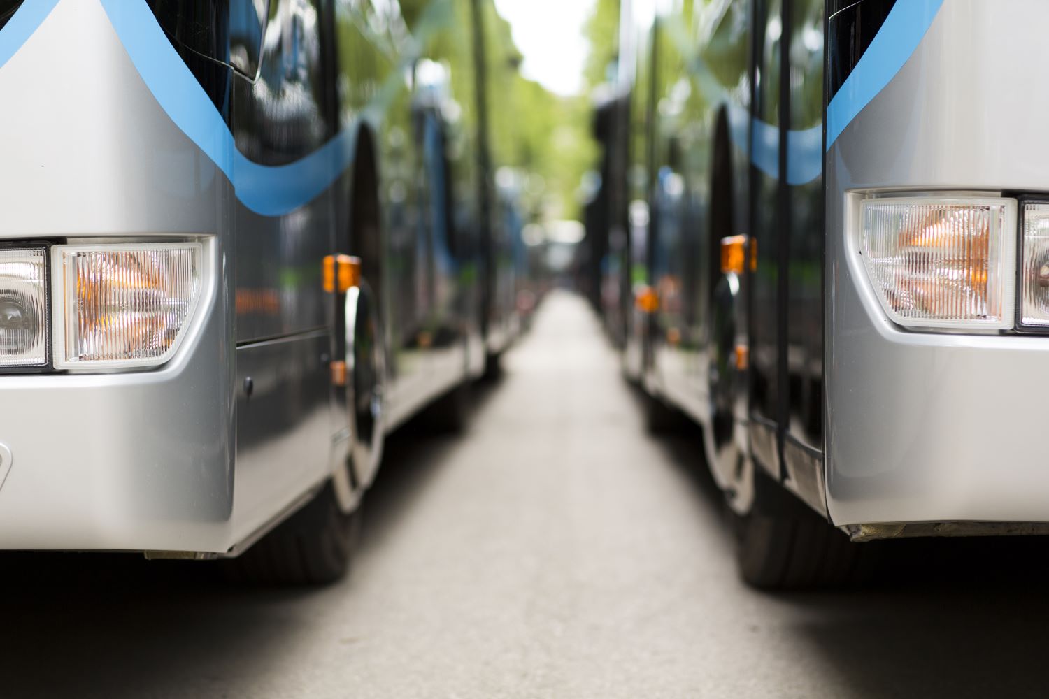 avtobus1