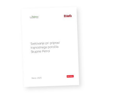 Svetovanje Skupina Petrol 2025