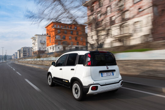 FiatPandina