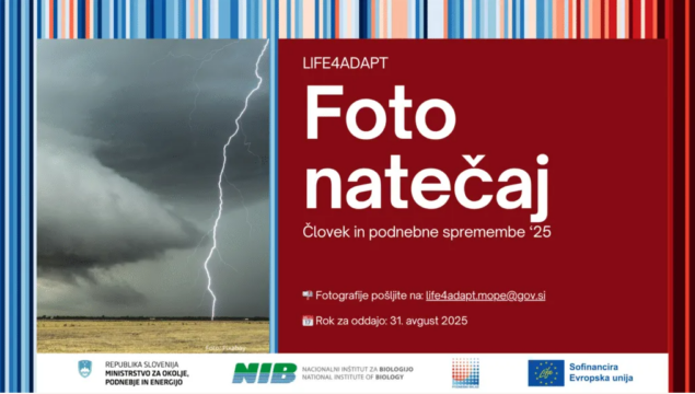 Posnetek zaslona 2025 06 23 071032