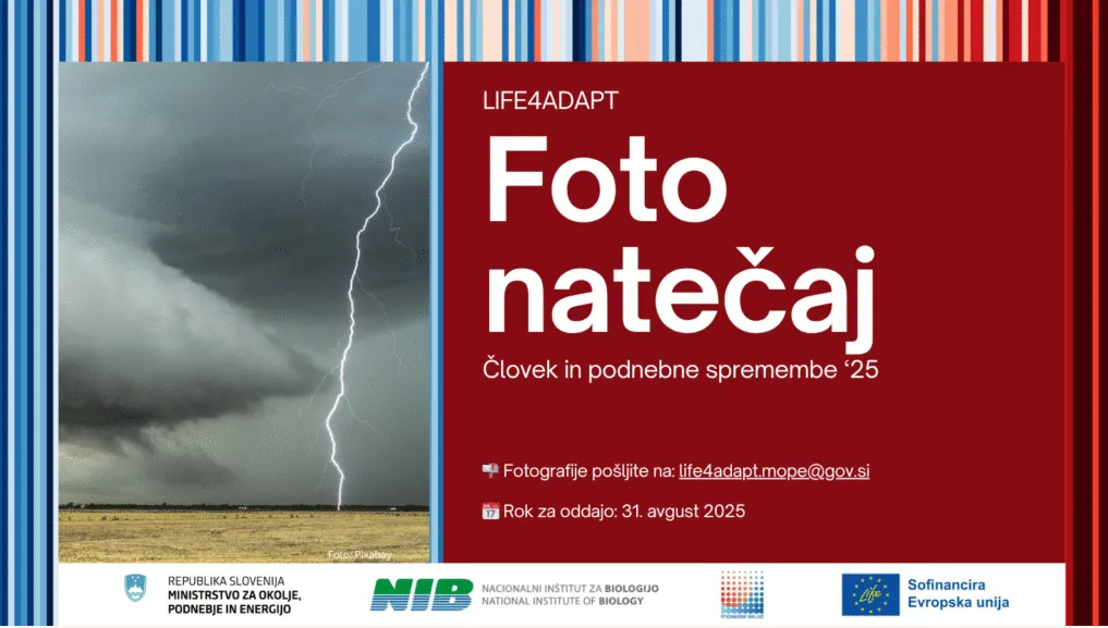 Posnetek zaslona 2025 06 23 071032