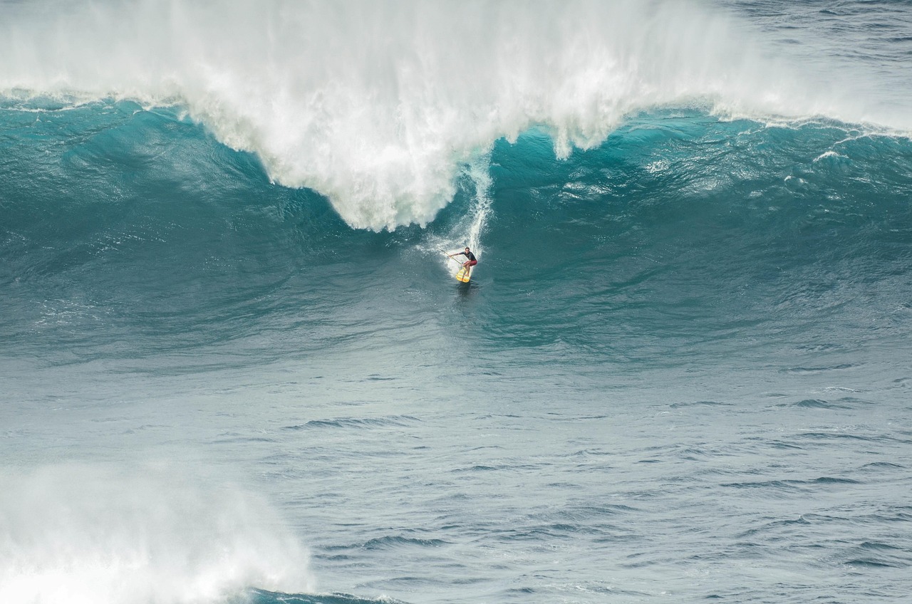 surfer 4100645 1280