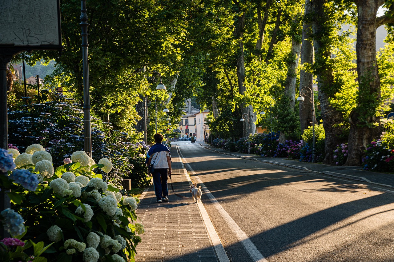 street 7281553 1280