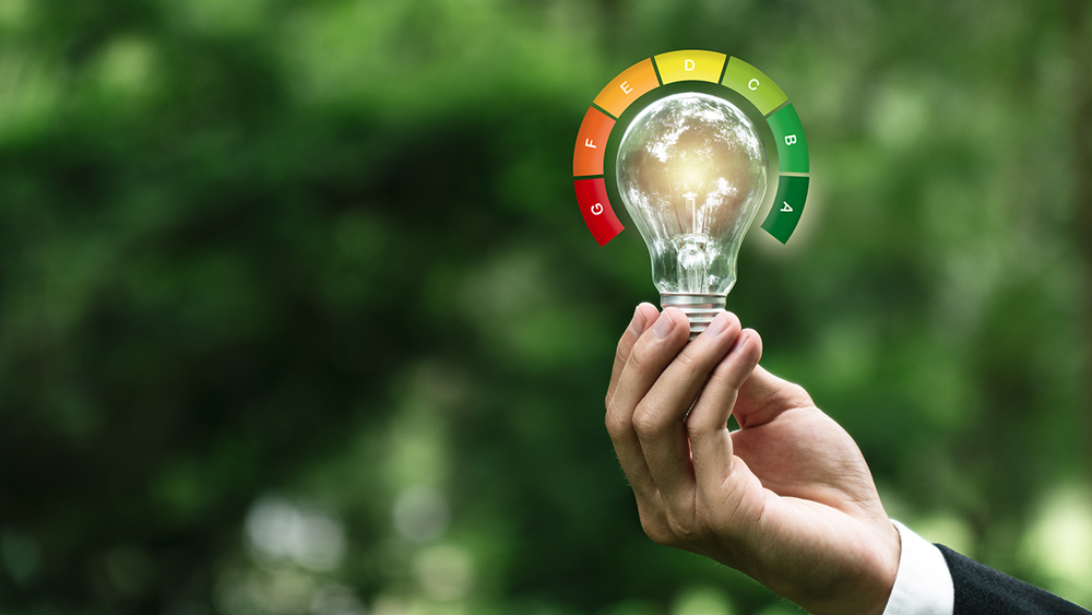 Delavska hranilnica ESG 202 1
