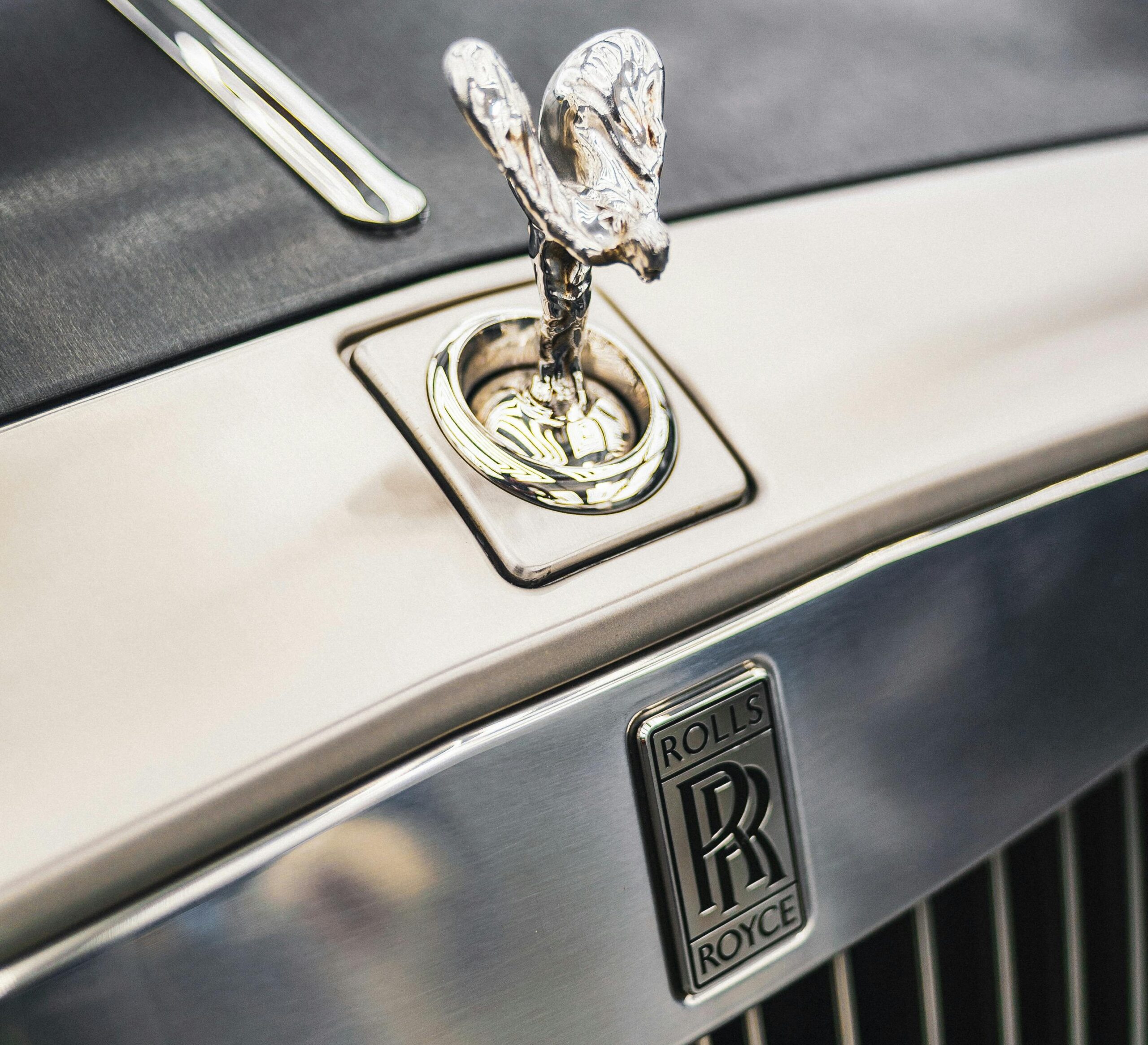 pexels lynxexotics 3894060 scaled