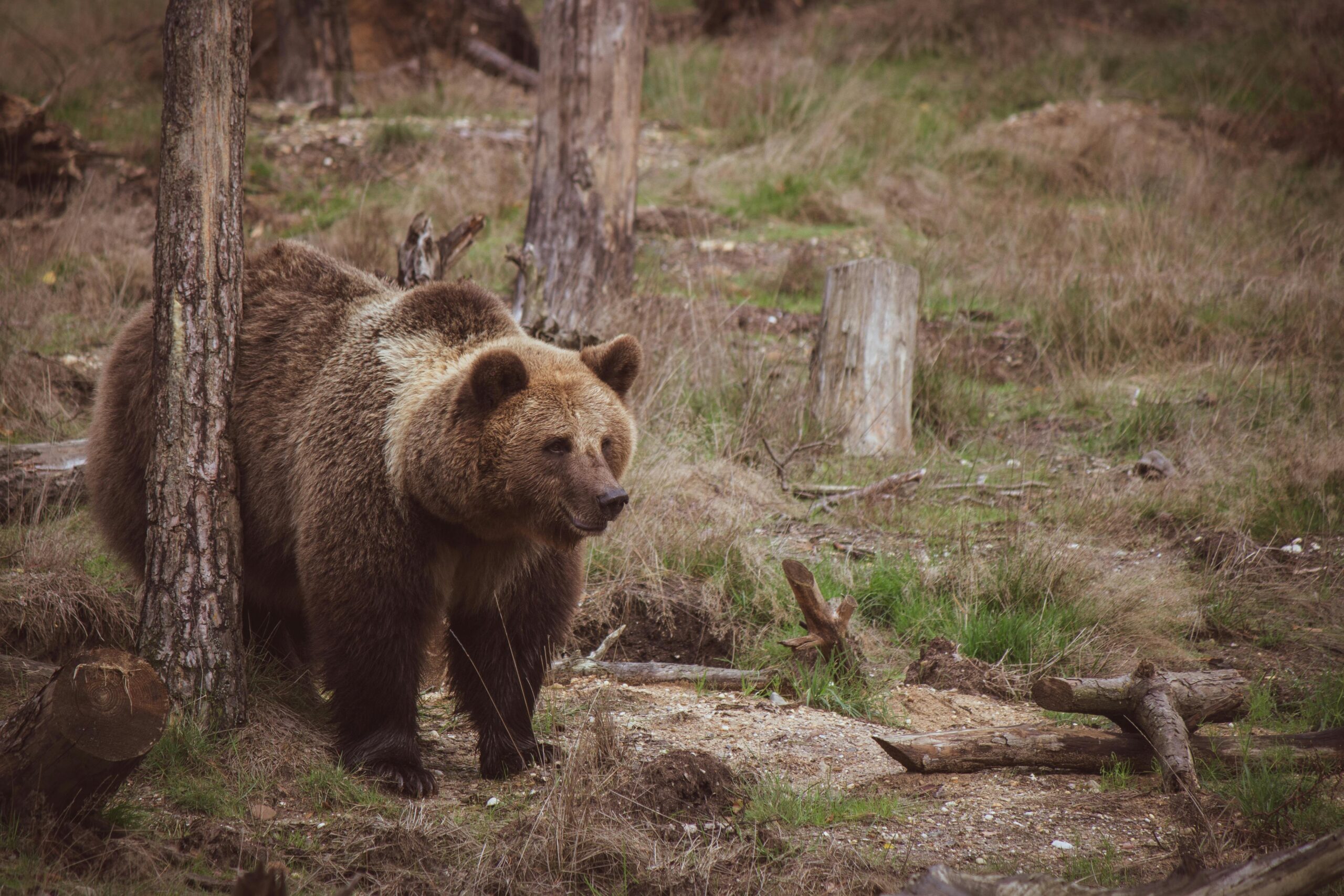 pexels vincent ma janssen 3048718 scaled
