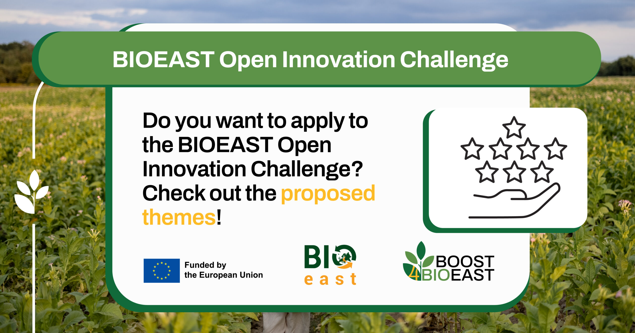 BOOST4BIOEAST Facebook Award 8@4x 100 scaled