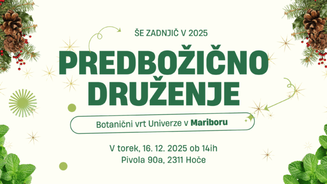 Predbožično druženje v MB