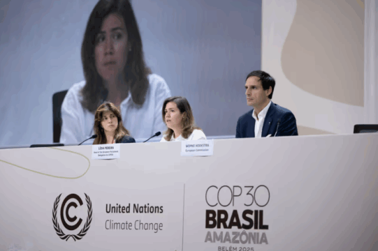 Posnetek zaslona 2025 11 24 095829