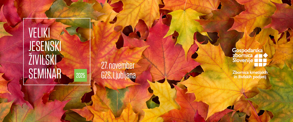 gzs zivilski seminar